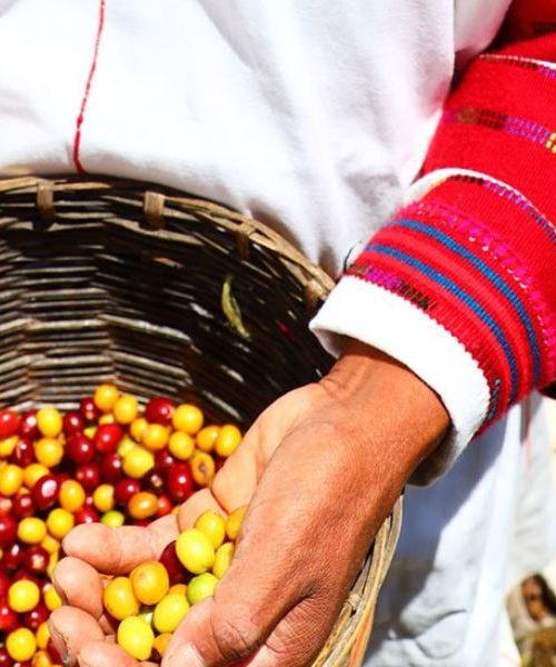 Café de Chiapas